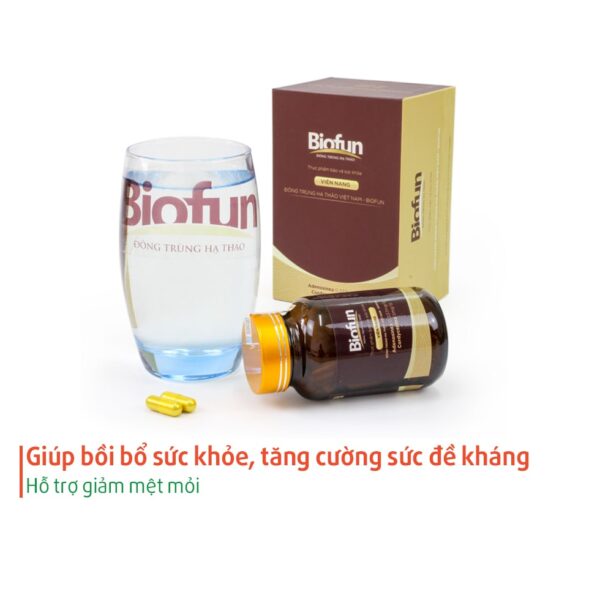 Viên-nang-đông-trùng-hạ-thảo-biofun (1)